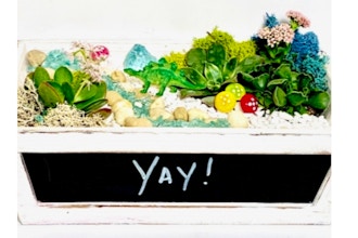 Plant Nite: Chalk Board Planter